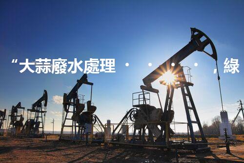 “大蒜廢水處理，綠色環(huán)保新篇章”